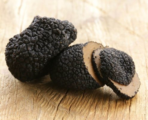 coltivazione-tartufo